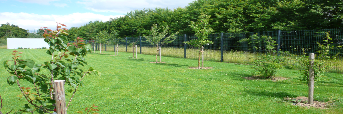 Obstgarten Inelta Sensorsysteme